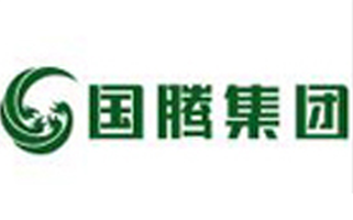 成都国腾电子集团有限公司